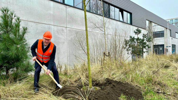 Wethouder De Kloet plant een boom bij de Tollensstraat