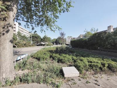 Deelgebied 2 Thomsonstraat bestaand