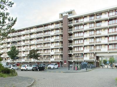Deelgebied 3 Reinwardtstraat noordkant bestaand