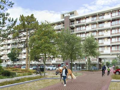 Deelgebied 3 Reinwardtstraat noordkant im