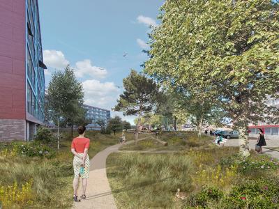 Deelgebied 9 Keesomstraat zuidelijke tuin impressie