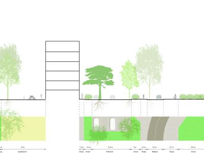 Doorsnede tekening Profielen_Deelgebied_2_Thomsonstraat_bestaande_situatie