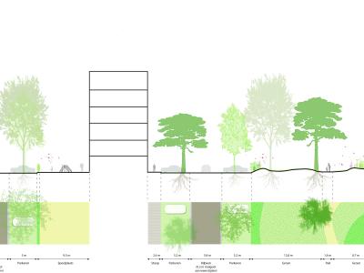 Doorsnede tekening Profielen_Deelgebied_2_Thomsonstraat_nieuwe_situatie