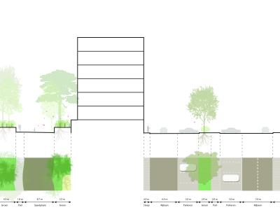 Doorsnede tekening Profielen_Deelgebied_3_Reinwardtstraat_bestaande_situatie