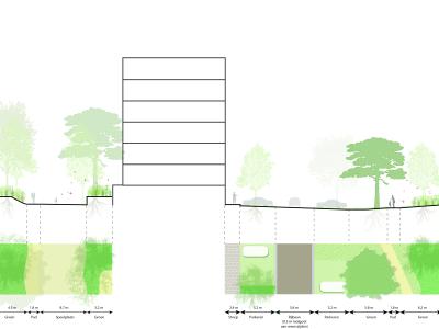 Profielen_Deelgebied_3_Reinwardtstraat_nieuwe_situatie