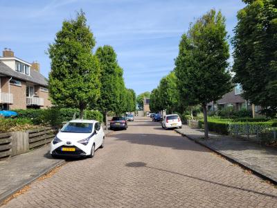 Treubstraat bestaand
