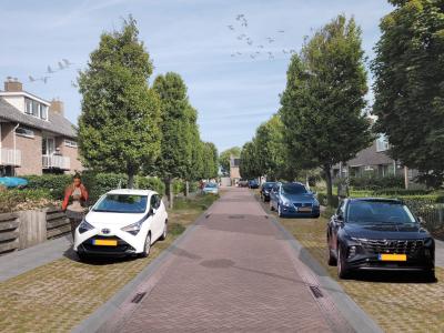Treubstraat impressie