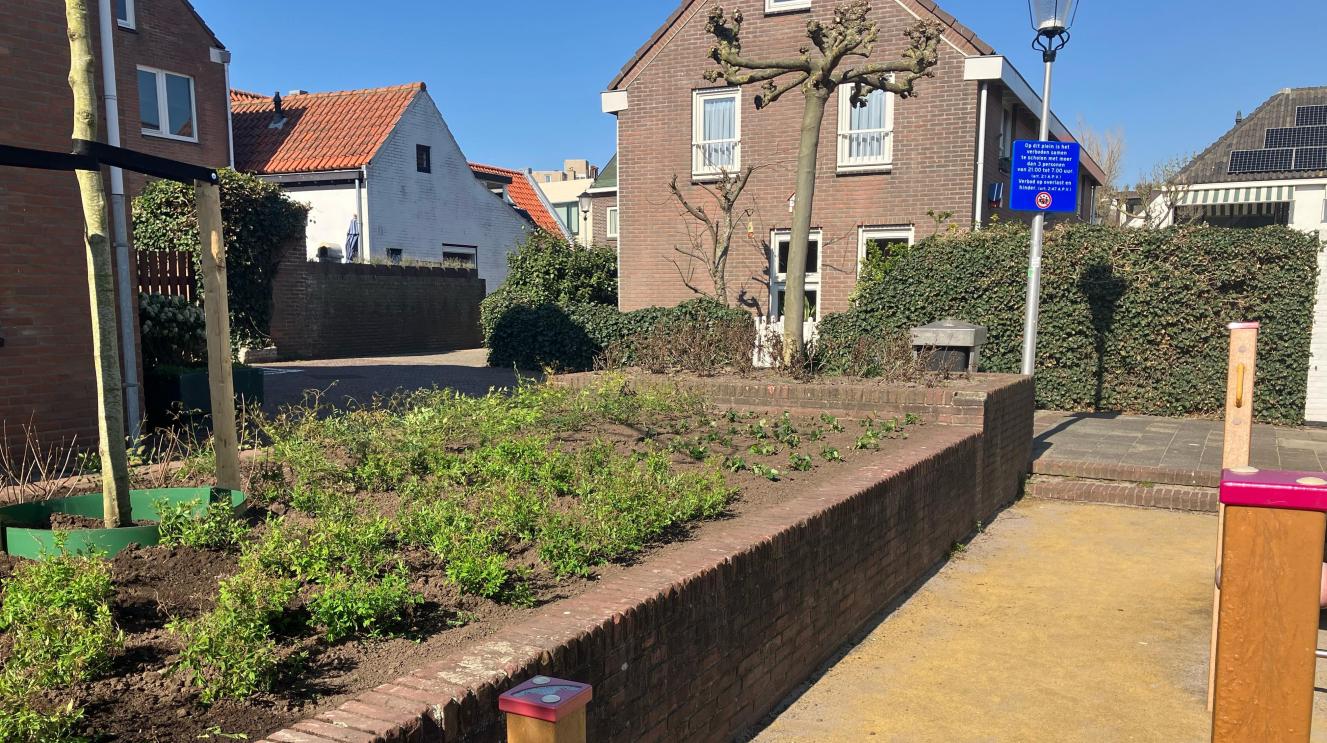 Jan Sneijerplein met het nieuwe groenvak