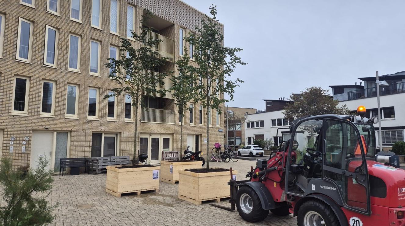 Op het Verzetsplein zijn 20 zomerlindes geplaatst.