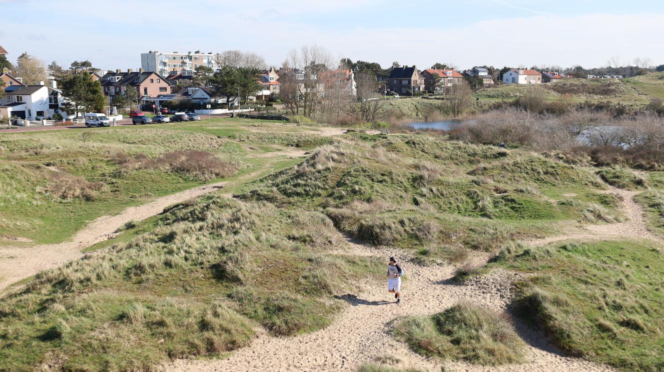 Duinen