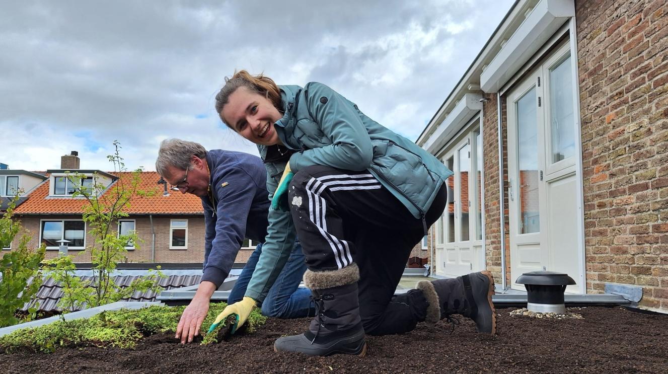 Twee inwoners leggen samen een groen dak aan