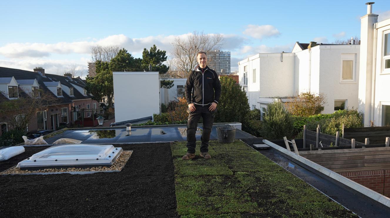 Een nieuw aangelegd groen dak