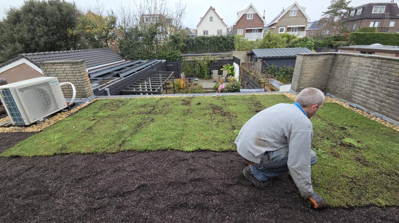 Een persoon op een groen dak