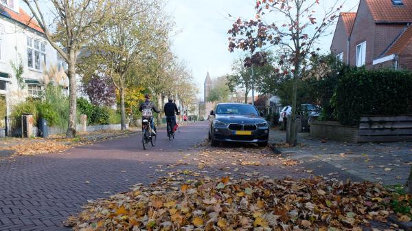 Twee fietsers rijden langs bladafval op straat.